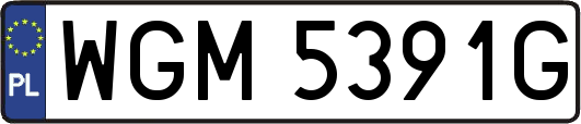 WGM5391G