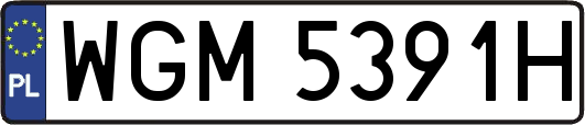 WGM5391H