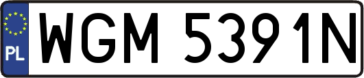 WGM5391N