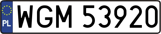 WGM53920