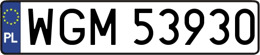 WGM53930