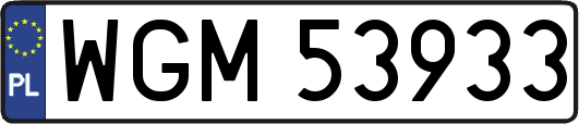 WGM53933