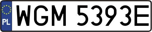 WGM5393E