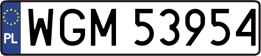 WGM53954