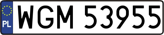 WGM53955