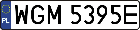 WGM5395E