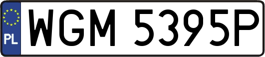 WGM5395P