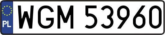 WGM53960