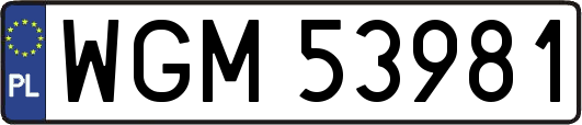 WGM53981