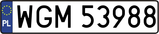 WGM53988