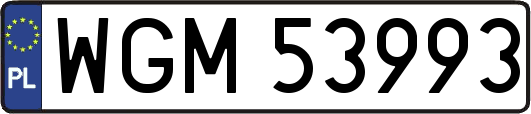 WGM53993