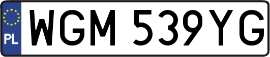 WGM539YG