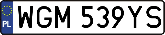 WGM539YS
