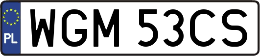 WGM53CS