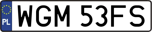 WGM53FS