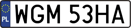 WGM53HA