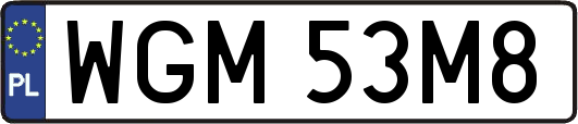 WGM53M8