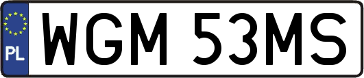 WGM53MS