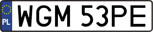 WGM53PE