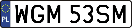 WGM53SM