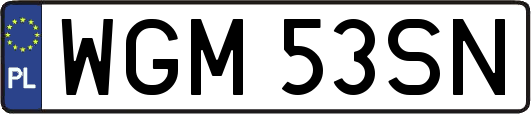 WGM53SN
