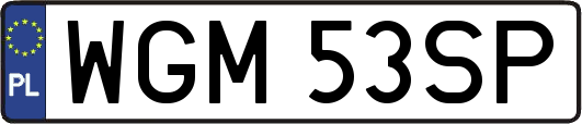 WGM53SP