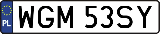 WGM53SY