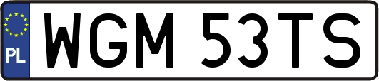 WGM53TS