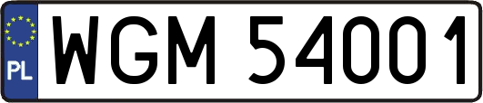 WGM54001