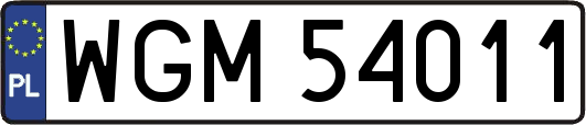 WGM54011