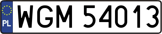 WGM54013