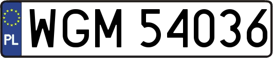 WGM54036