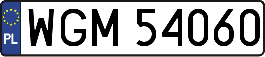 WGM54060