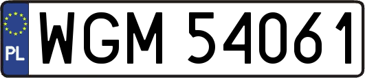 WGM54061