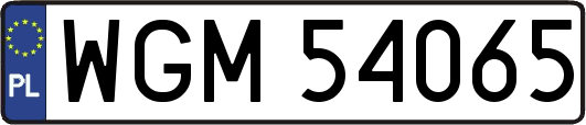 WGM54065
