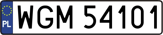 WGM54101