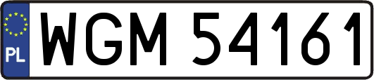 WGM54161