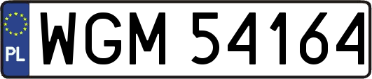 WGM54164