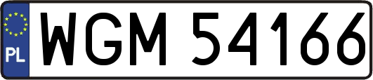 WGM54166