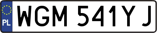 WGM541YJ