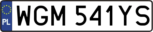 WGM541YS