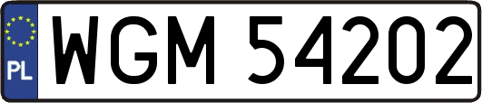 WGM54202
