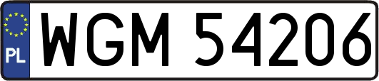 WGM54206