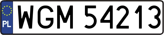 WGM54213
