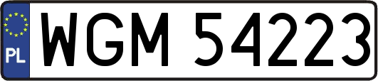 WGM54223