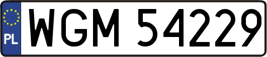 WGM54229