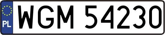 WGM54230
