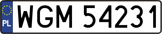 WGM54231