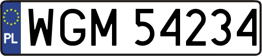 WGM54234