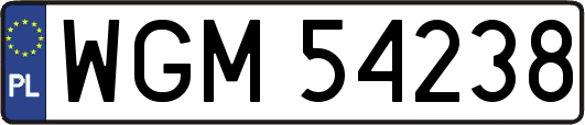 WGM54238